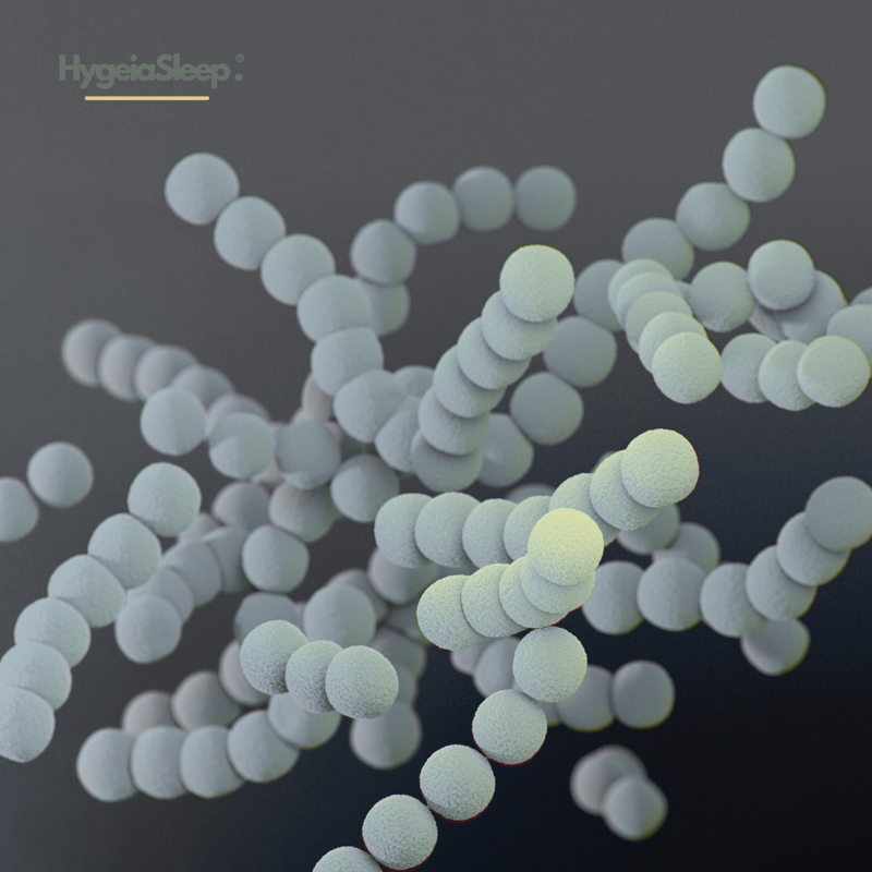Innovation Spotlight: Antibacterial and Anti-Odour Mattresses